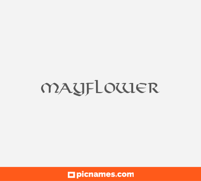 Mayflower