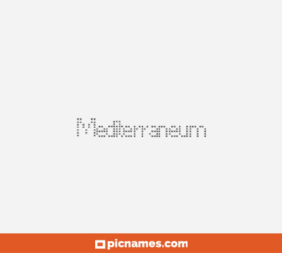 Mediterraneum