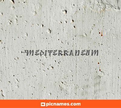 Mediterraneum