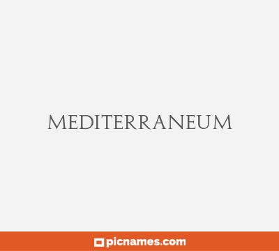 Mediterraneum