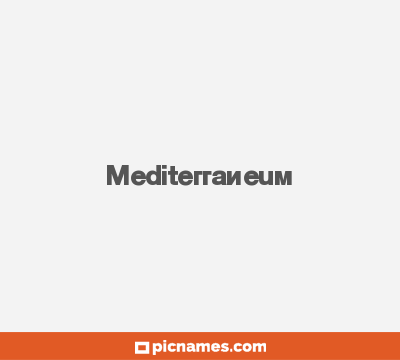 Mediterraneum