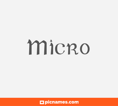 Micro