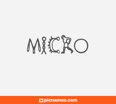 Micro