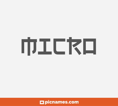 Micro