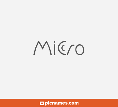 Micro