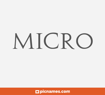 Micro