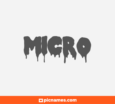 Micro