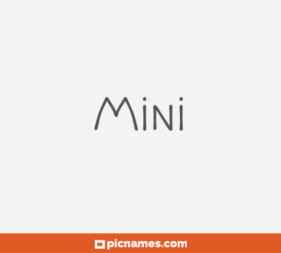 Mini