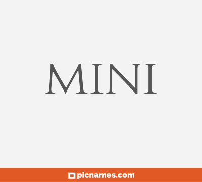 Mini