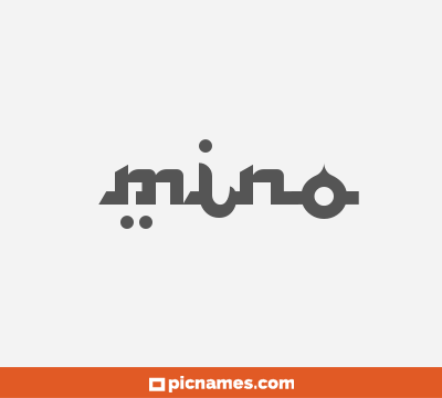 Mino