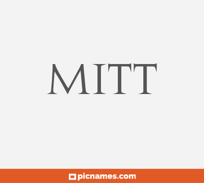 Mitt