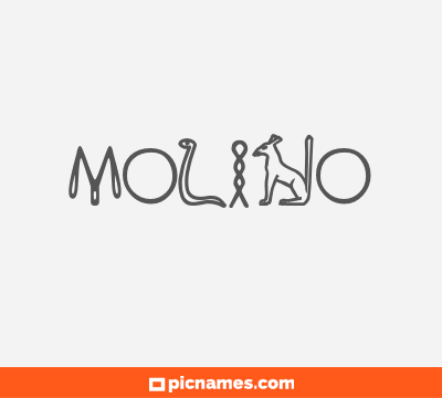 Molino