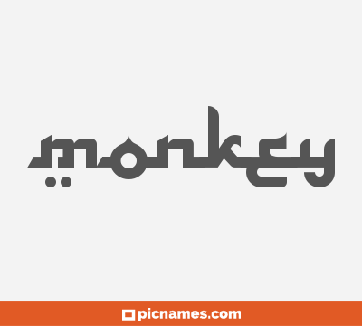 Monkey