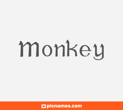 Monkey