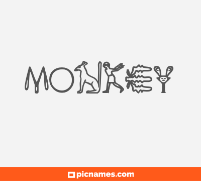 Monkey