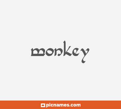 Monkey