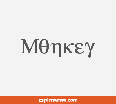 Monkey