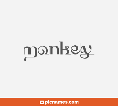 Monkey