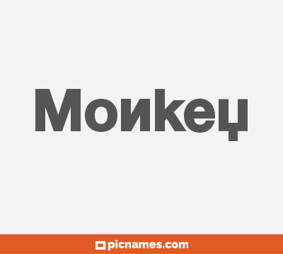 Monkey