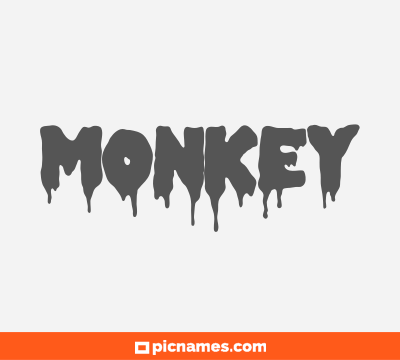 Monkey