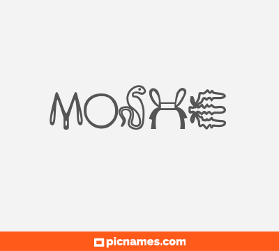 Moshe