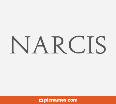 Narcis