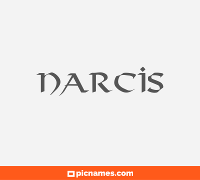 Narcis