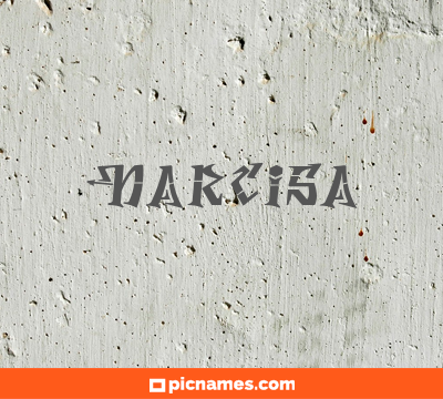 Narcisa