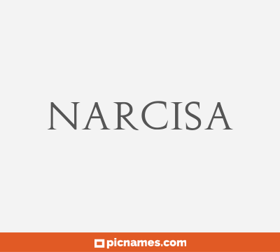 Narcisa