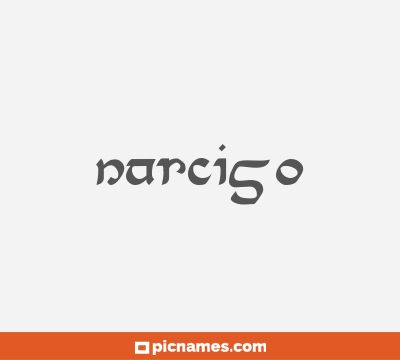 Narciso