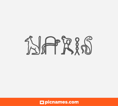 Naris