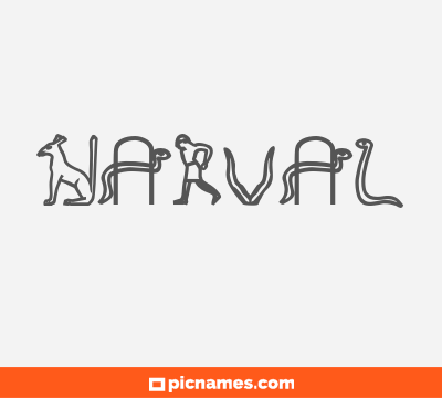 Narval