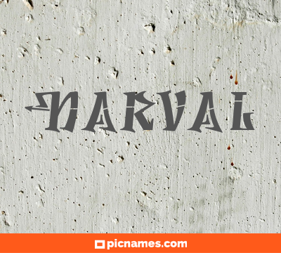 Narval