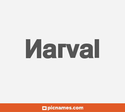 Narval