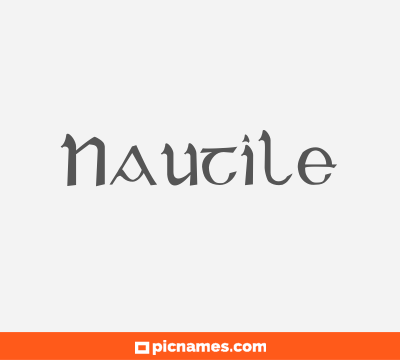 Nautile