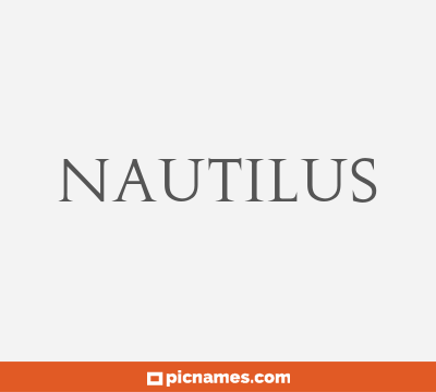 Nautilus