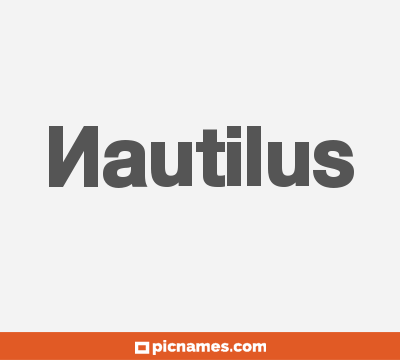 Nautilus