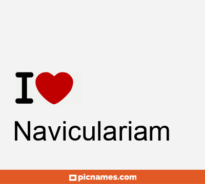 Naviculariam