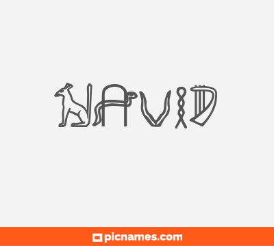 Navid