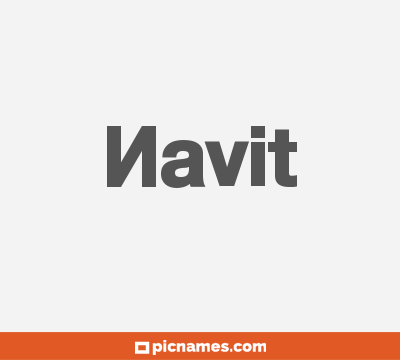 Navit