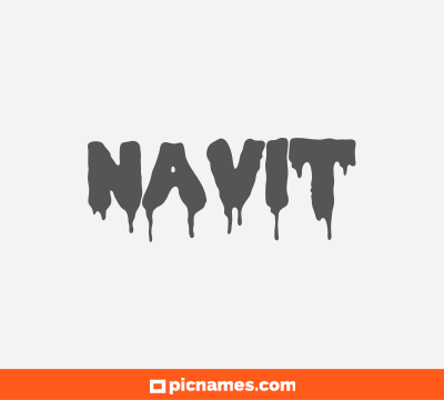 Navit