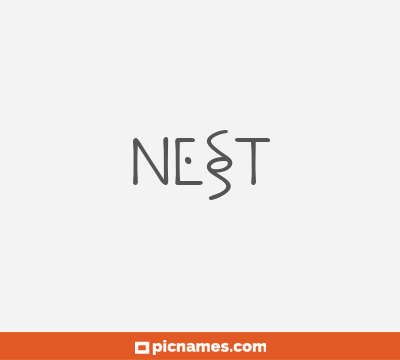 Nest