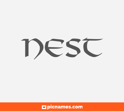 Nest