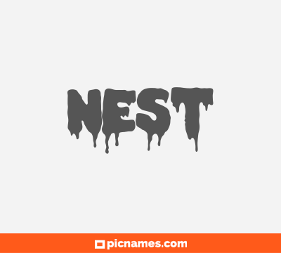 Nest