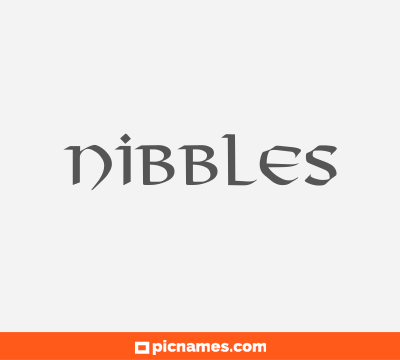 Nibbles