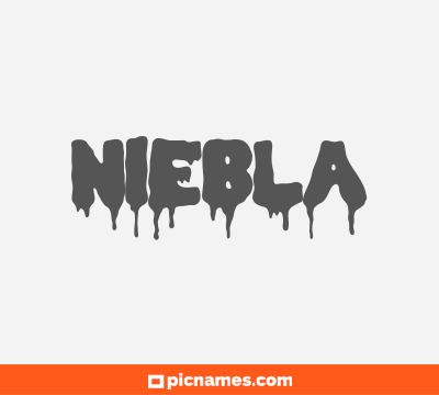 Niebla