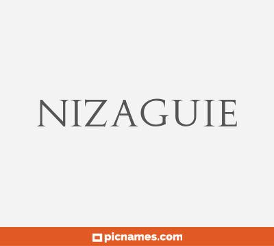 Nizaguie