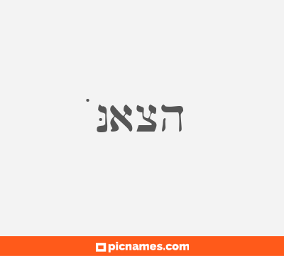Noach