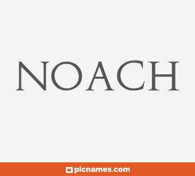 Noach