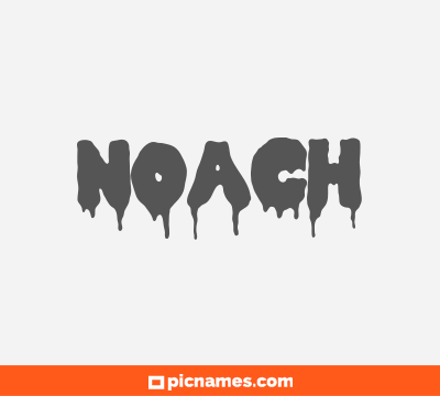 Noach